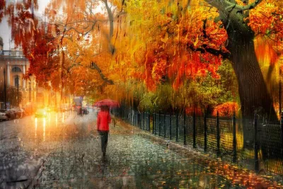 Дождь | Времена года. Осень. - Авторский Фотосайт