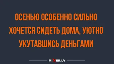 Настроение 😉🦊 .... #юмористы #приколвкартинках #шутка #сарказм #смех  #прикол #смешноетут #юмор #юморсперцем #осень #настроение #зонт… | Instagram