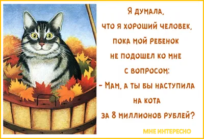 А у нас осень цвета пива 🍺 😀 #chestniy_humor | ЧЕСТНЫЙ юмор | ВКонтакте