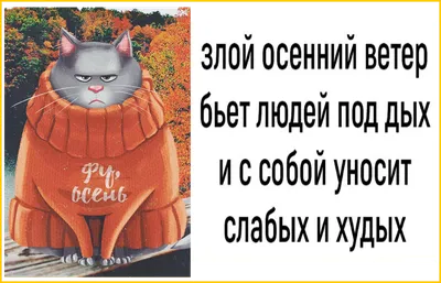 Скажи, Ленка, есть в тебе что-тохорошее? - Аппетит у меня хороший - юмор в  осенних тонах для моей группы в ВК | МНЕ ИНТЕРЕСНО - ВТОРАЯ ПОПЫТКА | Дзен