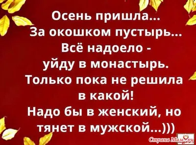 В такую дивную погоду, в холодный дождь и грязный снег, становится вкуснее  кофе, теплее кот и мягче плед - подборка картинок про осень | МНЕ ИНТЕРЕСНО  - ВТОРАЯ ПОПЫТКА | Дзен