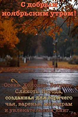 Картинки пожелание с добрым осенним утром с юмором (62 фото) » Картинки и  статусы про окружающий мир вокруг