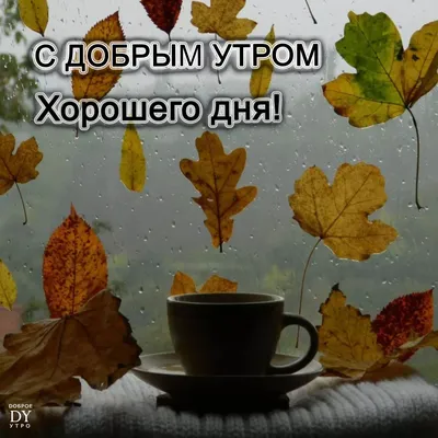 Доброго Утра 🍁Золотая Осень🍂Обалденная Песня Пожелание С Добрым Утром  Хорошим Днем Видео открытка - YouTube