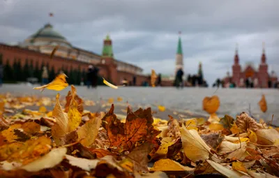 Осень будет аномально жаркой: климатолог удивила прогнозом погоды для  Украины - Главред