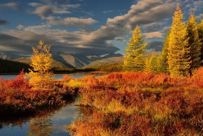 осенний пейзаж для фона, осень, осенний пейзаж, пейзаж фон картинки и Фото  для бесплатной загрузки