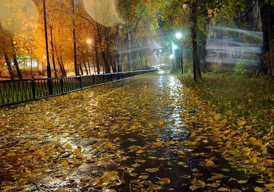 Дождь осенний. - фото автора савл на сайте Сергиев.ru