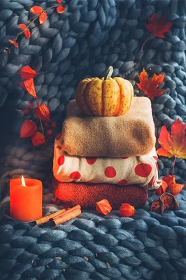 осенний натюрморт fall autumn pumpkin тыква осень | Акварельные  иллюстрации, Ботанические рисунки, Осенние тыквы