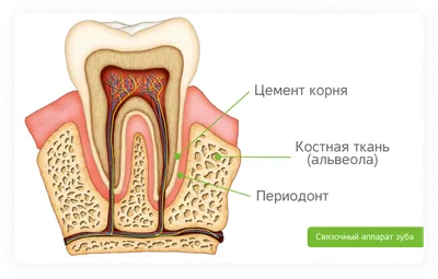 Уютная КЛИНИКА ИН — LiveJournal