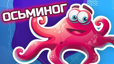 Осьминог