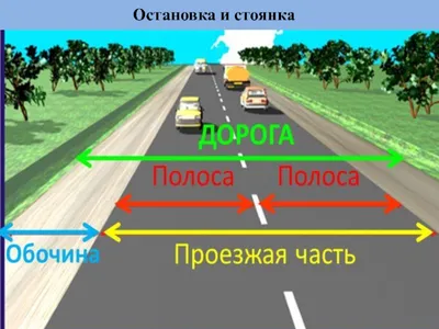 Кто из водителей выполнил остановку с нарушением правил? | Клуб Дорог | Дзен