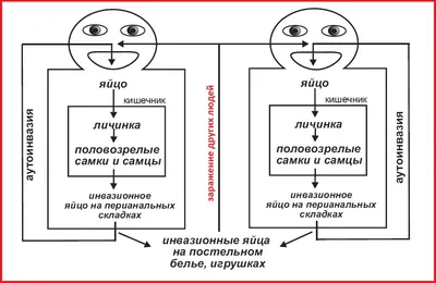 ПРОФИЛАКТИКА ЭНТЕРОБИОЗА