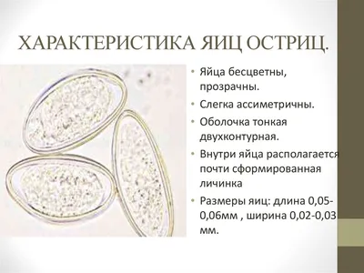 Новости - Энтеробиоз – распространённое заболевание среди детей |  Вологодская областная детская клиническая больница