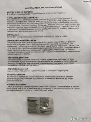 Острицы из нержавеющей стали, обеденная тарелка, моллюск, устричная  сервировка Сковорода-гриль, ресторанный гриль, стальная пластина для  устриц, тарелка для устриц | AliExpress