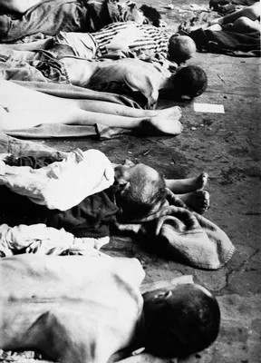Выдирали всем зубы\". Шокирующие свидетельства выживших в Освенциме - РИА  Новости, 02.02.2020