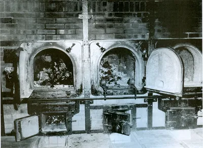 Экспонат ВОВ ✩ Зал 23: Зубы, вырванные у трупов заключенных, обнаруженные в  пепле в районе крематориев лагеря Освенцим | «Дорога Памяти»