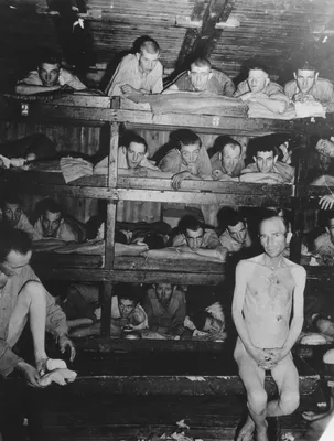 Освобождение нацистских лагерей - Фотографии | Энциклопедия Холокоста