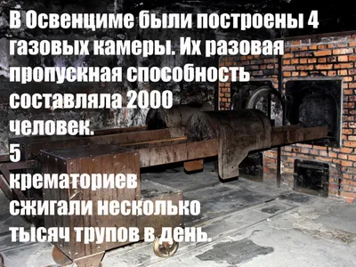 Худший ужас человечества. Мир отметил 73-ю годовщину освобождения лагеря  смерти Освенцим | \"Сибирская католическая газета\"