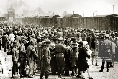 Освенцим фото трупов