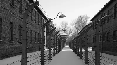 Страшные цифры лагеря смерти Освенцим (ФОТО)