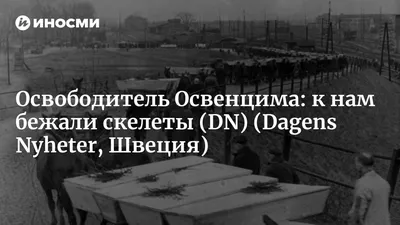 ФСБ рассекретила документы об экспериментах фашистских врачей в Крыму -  Российская газета