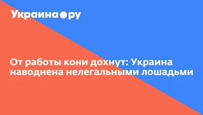 Футболка От работы дохнут кони, ну а я бессмертный пони!, продажа штучно  без рядов по оптовым ценам.