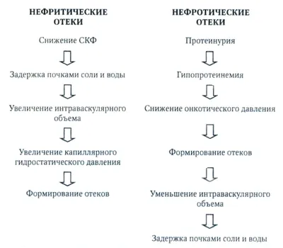 tonusnoginsk - 🌻 Сердечные отеки- один из синдромов, который часто  сопровождает различные заболевания сердечно-сосудистой системы. ♥️ Он  наиболее характерен для патологий, при которых развивается застой крови в  большом круге кровообращения ...