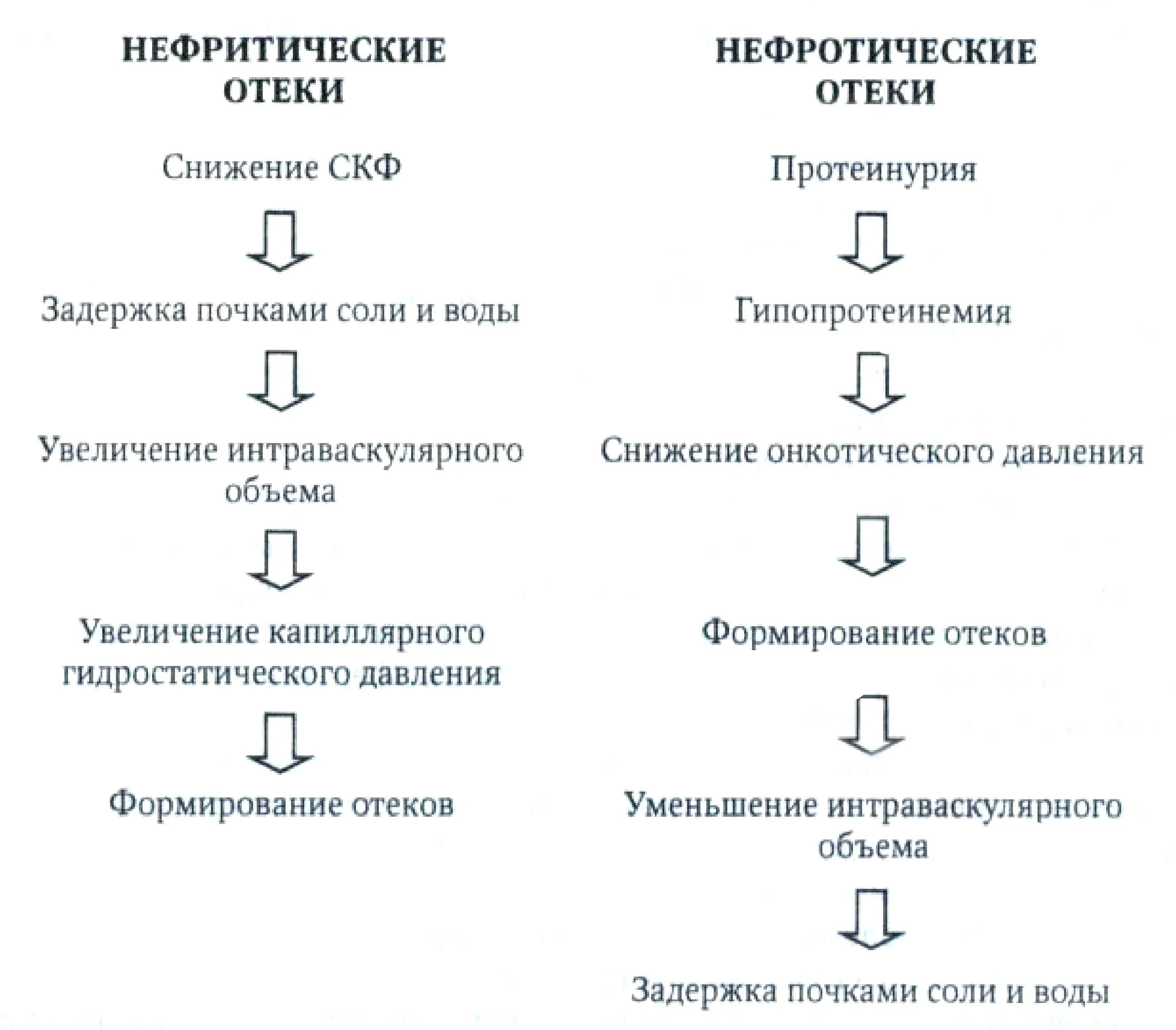 Отек почечного происхождения тест. Нефритический синдром отеки. Механизм развития нефритических отёков. Отечный синдром алгоритм диагностики.