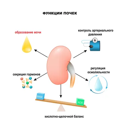 Отеки при болезнях почек фото