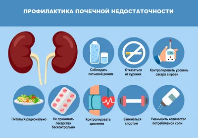 Почечная недостаточность — симптомы острой и хронической форм, стадии и  признаки у мужчин и женщин, причины появления, диагностика и лечение  заболевания