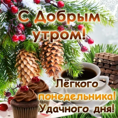 Отличного понедельника! Полного бодрости и новых сил!