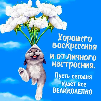 ОТЛИЧНОГО ВОСКРЕСЕНЬЯ! 8 ЯНВАРЯ. #сдобрымутром #сдобрым #пожеланиядобр... |  TikTok