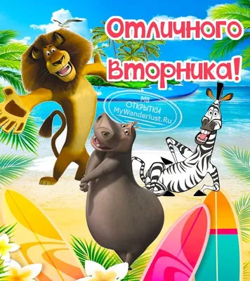 Открытка отличного вторника (скачать бесплатно)