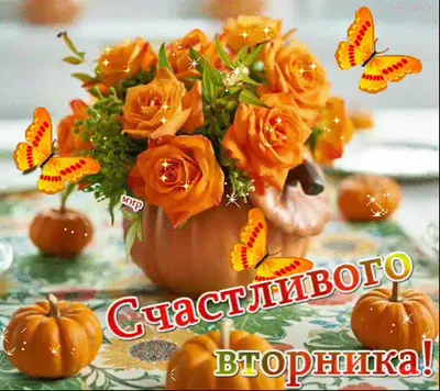 ОТЛИЧНОГО ВТОРНИКА! 8 НОЯБРЯ. #сдобрымутром #сдобрымутром_хорошегодня ... |  TikTok