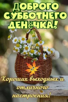 Хороших выходных🌸🙏 | Открытки Тедди | ВКонтакте