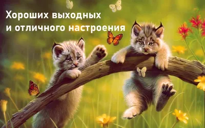 Открытки - Отличных выходных! | Facebook