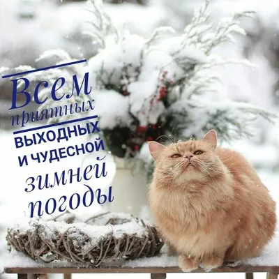 Отличных выходных! — Дневник добрых дел