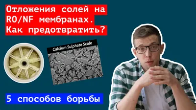 Отложение солей. Профилактика и лечение - Куликова В. - купить и читать  онлайн электронную книгу на Wildberries Цифровой | 27365