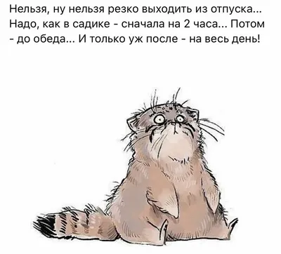 В отпуск с юмором: шутки и мемы про путешествия | Непутевые заметки | Дзен