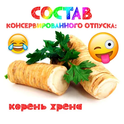 Отпуск | Пикабу