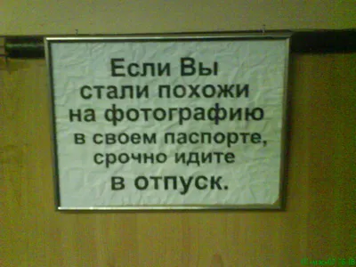 отпуск / смешные картинки и другие приколы: комиксы, гиф анимация, видео,  лучший интеллектуальный юмор.