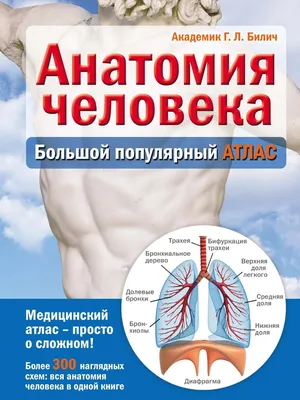 Что такое бахромки заднего прохода и как их вылечить — блог медицинского  центра ОН Клиник