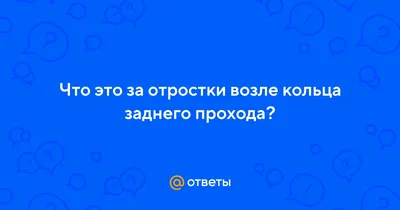 Свищ прямой кишки (параректальный свищ) - цены на лечение, симптомы и  диагностика ректальных свищей - Гармония