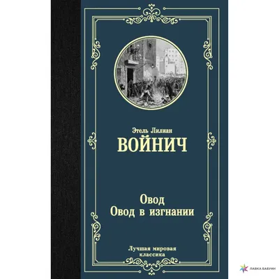 Александр Овод, Москва, 25 лет — Директор в Овод Александр Николаевич,  отзывы