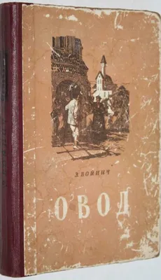 Насекомые: истории из жизни, советы, новости, юмор и картинки — Лучшее |  Пикабу