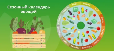 Как увеличить количество овощей и фруктов в своем рационе? — ФГБУ «НМИЦ  ТПМ» Минздрава России