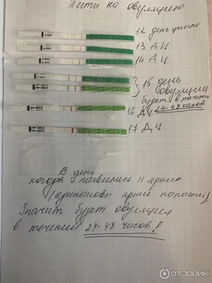 Стимуляция овуляции: что это такое, как делают и какие есть методы, сколько  стоит процедура в клиниках Москвы