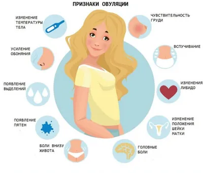 ⚕ Что такое овуляция и для чего ее определять? - PULSE