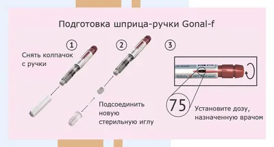 овуляция слов деревянными буквами на розовом фоне Стоковое Изображение -  изображение насчитывающей женщина, менструация: 219019753