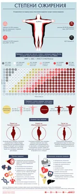 Степени ожирения. Инфографика | Здоровая жизнь | Здоровье | Аргументы и  Факты