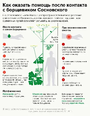 Из-за ядовитого растения на ногах мужчины остались ожоги третьей степени  (фото) | NEWS.am Medicine - Все о здоровье и медицине